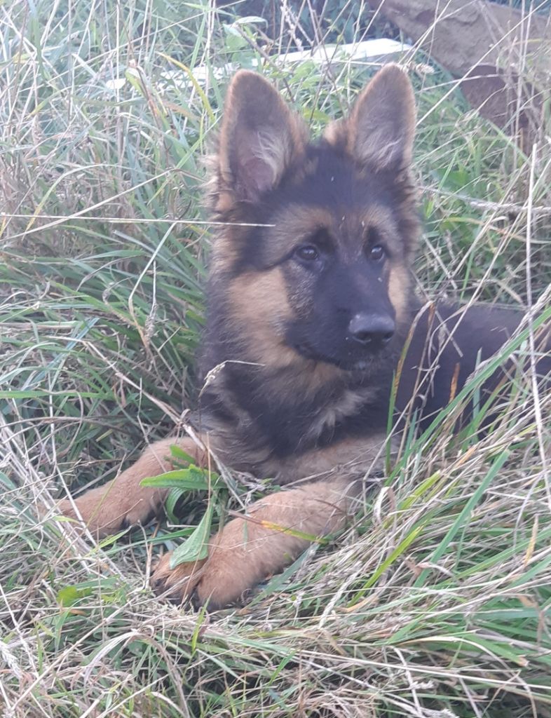 ATHOS